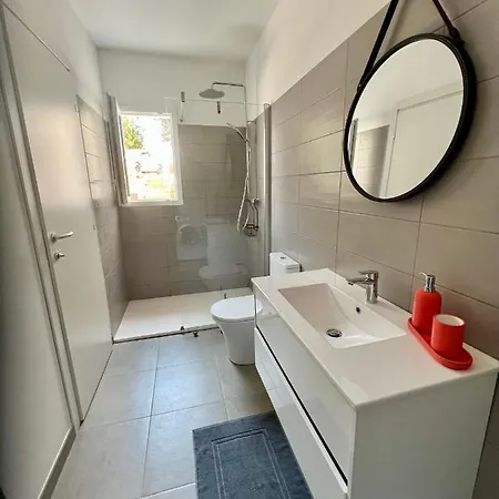 173 - - Campagne אז'אקסיו